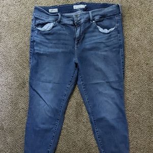 Torrid Denim Jeggings Size 24S